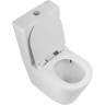 Унитаз-компакт безободковый BELBAGNO BB2149CP-TOR/BB2149T/BB865SC